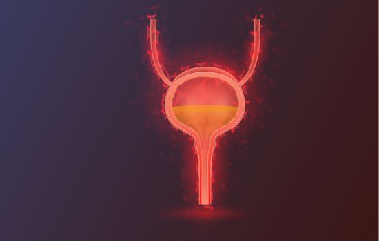 Schmerzen in Blase und Harnröhre